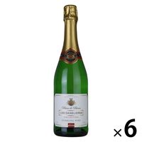 Cava de Cazadores 750ml スパークリングワイン 1091000060it005.jpg