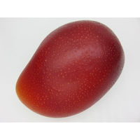 【食品サンプル】 果物専科 国産完熟マンゴ 3029 日本サンプル 1個（直送品）