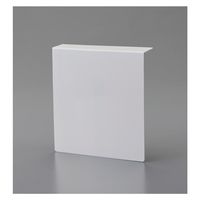 日本緑十字社 高輝度蓄光ステッカー標識貼付用プレート TCP1515 天井用・L型 160×154mm 377054 1枚（直送品）