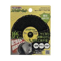 日本レヂボン(NIPPON RESIBON) ガラスクロスディスク スパイダーネット 100×2P×M10 細目 WA120 2枚入 SPN（直送品）