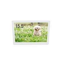 ブロードウォッチ 15.5インチ お手軽デジタルサイネージモニター 表示・広告兼用 LCD-FM15 1台 69-6319-40（直送品）