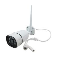 ブロードウォッチ ワイヤレス300万画素防犯カメラ(SECーWシリーズ増設・交換用) SEC-WCAM5-3M 1個 60-2412-23（直送品）