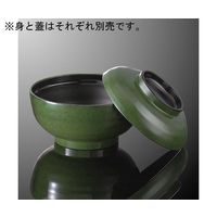 国際化工 多用丼 大 身 グリーン/黒 A 61B-GNB 1個 64-7762-46（直送品）