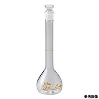アズワン 酸洗浄済メスフラスコ 250mL ASONE2-992-08 1個 2-992-08（直送品）