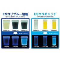 栄研化学 ESコリブルー培地100チューブ 20本×5袋 E-KW09 1箱(100本) 64-2192-68（直送品）