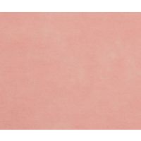 リリー ディスポ防炎カーテン 吊り下げ式 ピンク L 7-854-02 1枚（直送品）