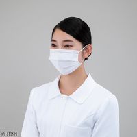 アズワン ナビガードマスク(個包装タイプ)1箱(1枚/袋×30袋入) KM-1WP 1箱(30枚) 4-4857-01（直送品）