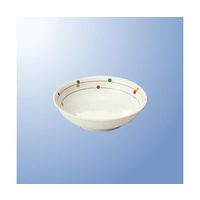 国際化工 12.5cm深皿 サークル JT 25-CR 1個 64-7784-31（直送品）