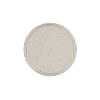 日本ベクトン・ディッキンソン BD BBL(TM) SCD寒天培地 RT 252479 1個(100本) 63-6526-78（直送品）