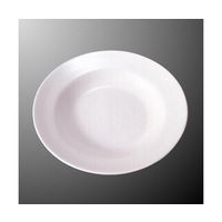 国際化工 カレー皿 白 E 6-W 1個 64-7769-57（直送品）