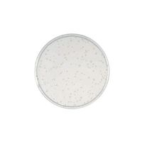 日本ベクトン・ディッキンソン BD BBL(TM) YSG寒天培地 252029 1個(20本) 63-6526-73（直送品）