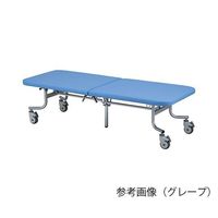 軒先渡し】高田ベッド 折りたたみ式ポータブルベッド(有孔) ビニル