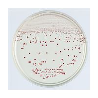 日本ベクトン・ディッキンソン BD BBL(TM) VRE選択培地 100枚 251832 1個(100本) 63-6527-47（直送品）