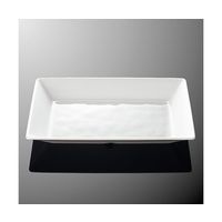 国際化工 30cm長角プレート ホワイトC E 242-WC 1個 64-7771-97（直送品）