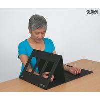 アズワン ミラーセラピーセット S NC95110 1個 7-9515-01（直送品）