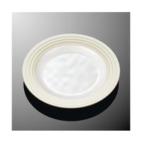 国際化工 23cmミート皿 ホワイトC E 281-WC 1個 64-7772-22（直送品）