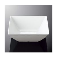 国際化工 25cm正角ボール ホワイトC E 235-IWC 1個 64-7771-89（直送品）