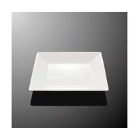 国際化工 17cm角平皿 ホワイトC E 113-IWC 1個 64-7770-78（直送品）