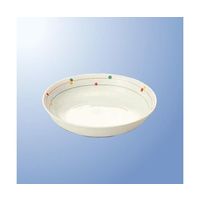 国際化工 17cm深皿 サークル JT 18-CR 1個 64-7784-25（直送品）