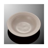 国際化工 24cmカレー皿 グレーC E 285-GY 1個 64-7772-35（直送品）