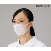 ティティメディカル 3層立体メリットマスクプラス ホワイト 50枚入 8-7296-13 1箱(50枚)（直送品）