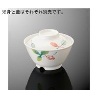 国際化工 飯碗 大 身 リーフルDC A 43B-LF 1個 64-7761-51（直送品）