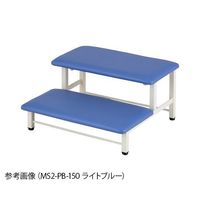 アズワン ミニ踏み台 2段 560×670×300mm アイボリー MS2-IV-150 1台 9-1704-04（直送品）