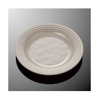 国際化工 23cmミート皿 グレーC E 281-GY 1個 64-7772-19（直送品）