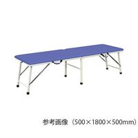 アズワン 折りたたみ診察台 500×1800×600mm ライトブルー TPE-H50PB 1個 7-9670-02（直送品）
