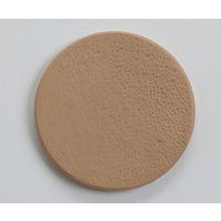 ビューラックス 頬部肌模型 40代女性 ウレタンゲル No.10A 1枚 64-0694-95（直送品）