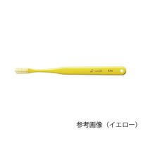 オーラルケア タフト24 ESS・キャップ付 ホワイト 25本入 00020046 1箱(25本) 7-9772-04（直送品）