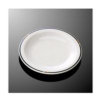 国際化工 19cm皿 シンプルライン M 102-SN 1個 64-7782-84（直送品）