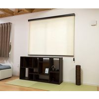 フルネス ロールスクリーン 幅60cm×高さ135cm 天然調ベージュ 64-0914-37 1箱（直送品）