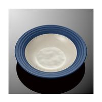 国際化工 24cmカレー皿 ネイビーC E 285-NAV 1個 64-7772-36（直送品）