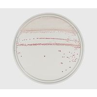 日本ベクトン・ディッキンソン BD (TM)mCCDAクリアーHT寒天培地 252794 1個(20本) 63-6526-85（直送品）