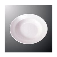 国際化工 8吋スープ皿 白 E 9-W 1個 64-7769-59（直送品）