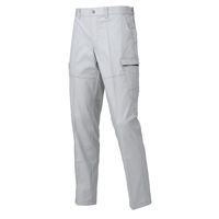 日新被服 後ろゴムノータックカーゴパンツ SR2221-40-4L シルバー 1PC（直送品）