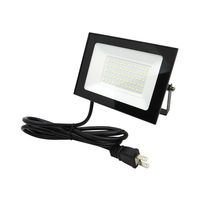 ブロードウォッチ LED投光器(AC50W) LED-AC50 1個 69-8572-95（直送品）