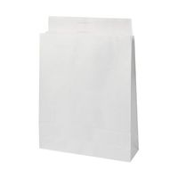 パックタケヤマ 宅配袋 白 大 320×100×430/60mm 64-8086-65 1箱(100枚)（直送品）