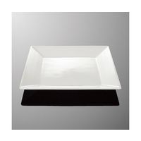 国際化工 25cm角平皿 ホワイトC E 109-IWC 1個 64-7770-62（直送品）