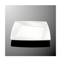 国際化工 21cmひねり角浅皿 ホワイトC E 224-IWC 1個 64-7771-84（直送品）