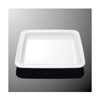 国際化工 24cm角プレート ホワイトC E 191-IWC 1個 64-7771-55（直送品）