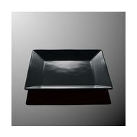 国際化工 20cm角平皿 黒C E 112-BKC 1個 64-7770-75（直送品）