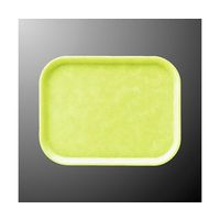 国際化工 35cmアールライトトレー メロン N 55-LG 1個 64-7780-77（直送品）