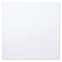 サーヴォ 四角巾 F SV27 1個（直送品）