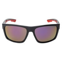 保土ヶ谷電子販売 キャプテンスタッグサングラス(UV/偏光) CSP-010-1 1個（直送品）