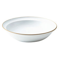 丸利玉樹利喜蔵商店 プレート 21cm エッジライン カレー&パスタ 陶器 食器 ホワイト 288131 1個（直送品）