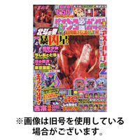 パチンコ必勝ガイド 2026/04/07発売号から1年(12冊)(雑誌)（直送品）