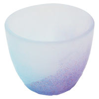 ワールド・クリエイト グラス 170ml 空のいろどりミスト 朝焼け 477239 1個（直送品）