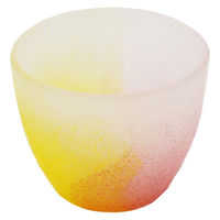 ワールド・クリエイト グラス 170ml 空のいろどりミスト 夕焼け 477242 1個（直送品）